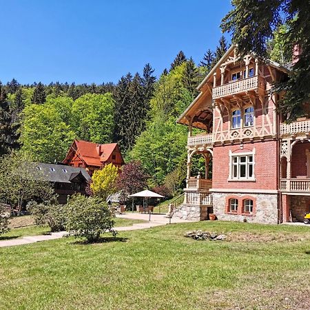 Willa Trebla Miedzygorze Exteriör bild