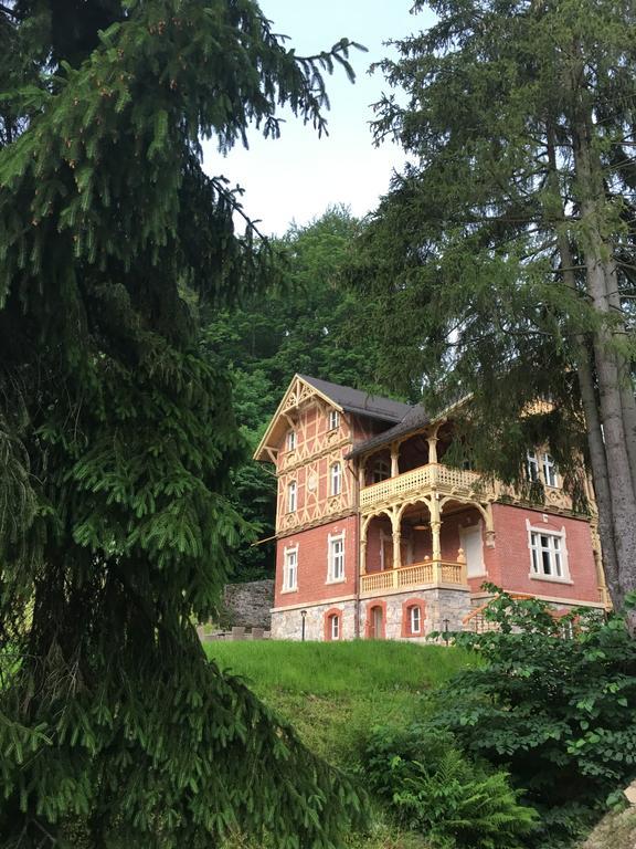 Willa Trebla Miedzygorze Exteriör bild